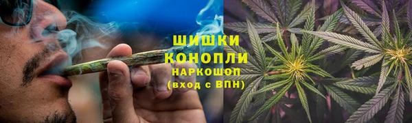 шишки Аркадак
