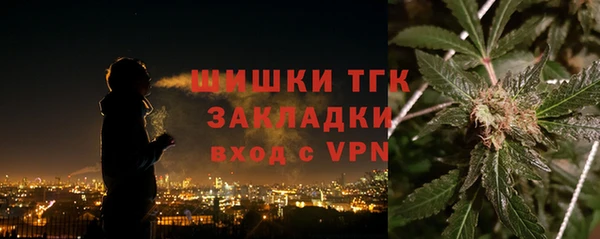 шишки Аркадак