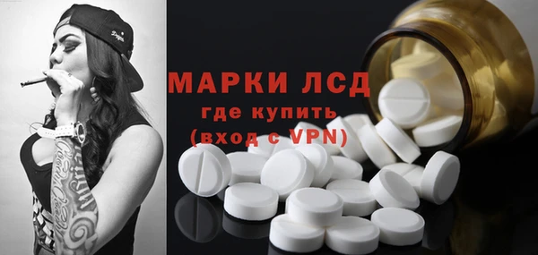 шишки Аркадак
