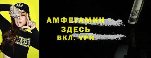 шишки Аркадак