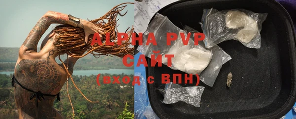 гидра Корсаков