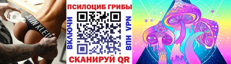 хочу кракен рабочий сайт Галлюциногенные грибы Cubensis Благодарный