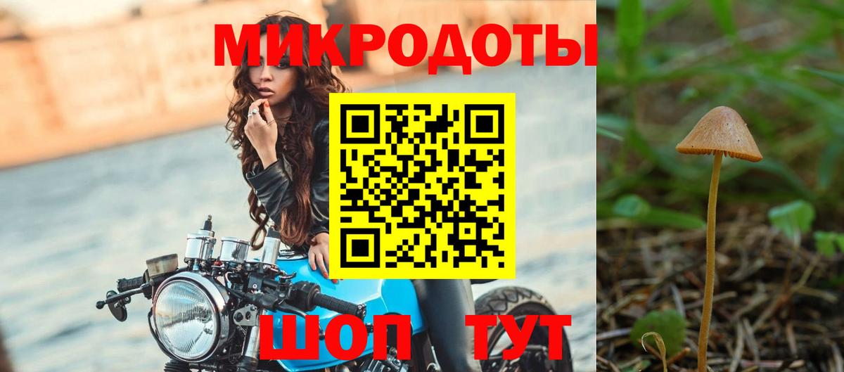 Благодарный  Псилоцибиновые грибы Psilocybine cubensis  Вход с VPN 